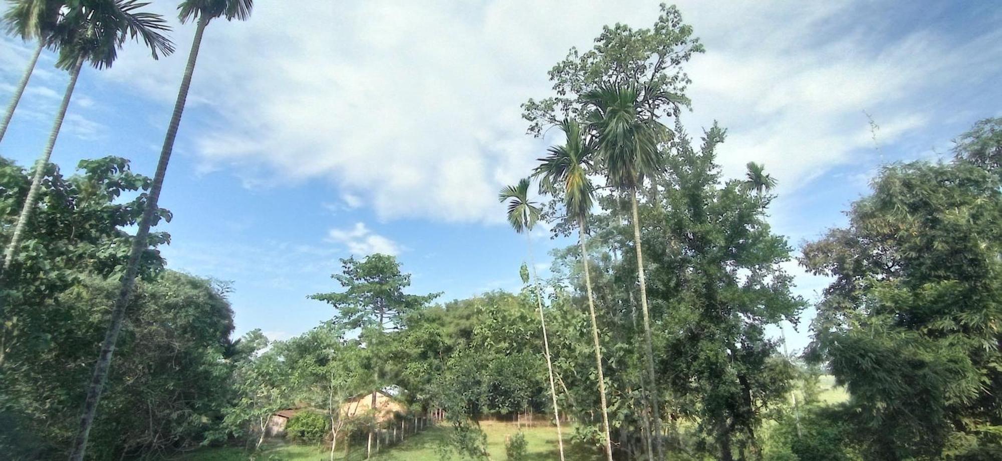 Hotel Kaziranga Holidays 外观 照片